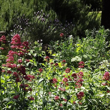 Backyard Garden Oasis Bed and Breakfast Middletown Buitenkant foto