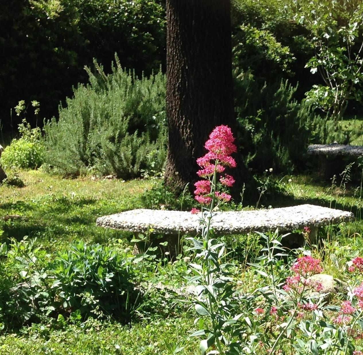 Backyard Garden Oasis Bed and Breakfast Middletown Buitenkant foto