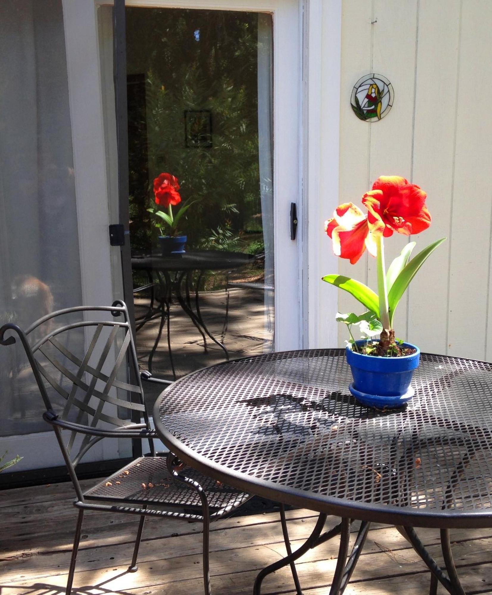Backyard Garden Oasis Bed and Breakfast Middletown Buitenkant foto