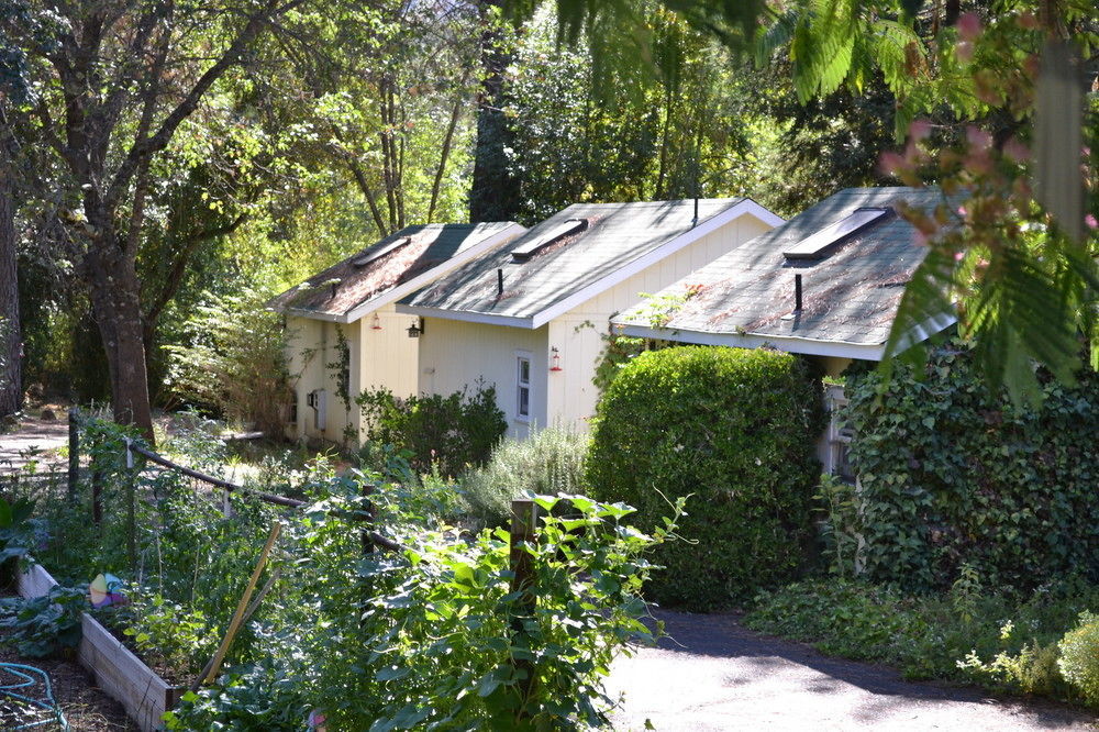 Backyard Garden Oasis Bed and Breakfast Middletown Buitenkant foto