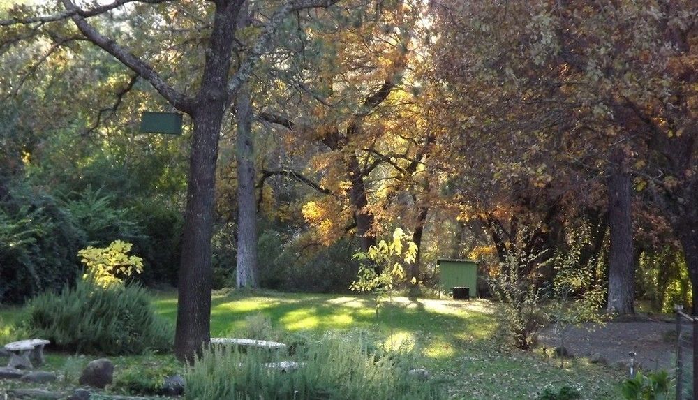 Backyard Garden Oasis Bed and Breakfast Middletown Buitenkant foto