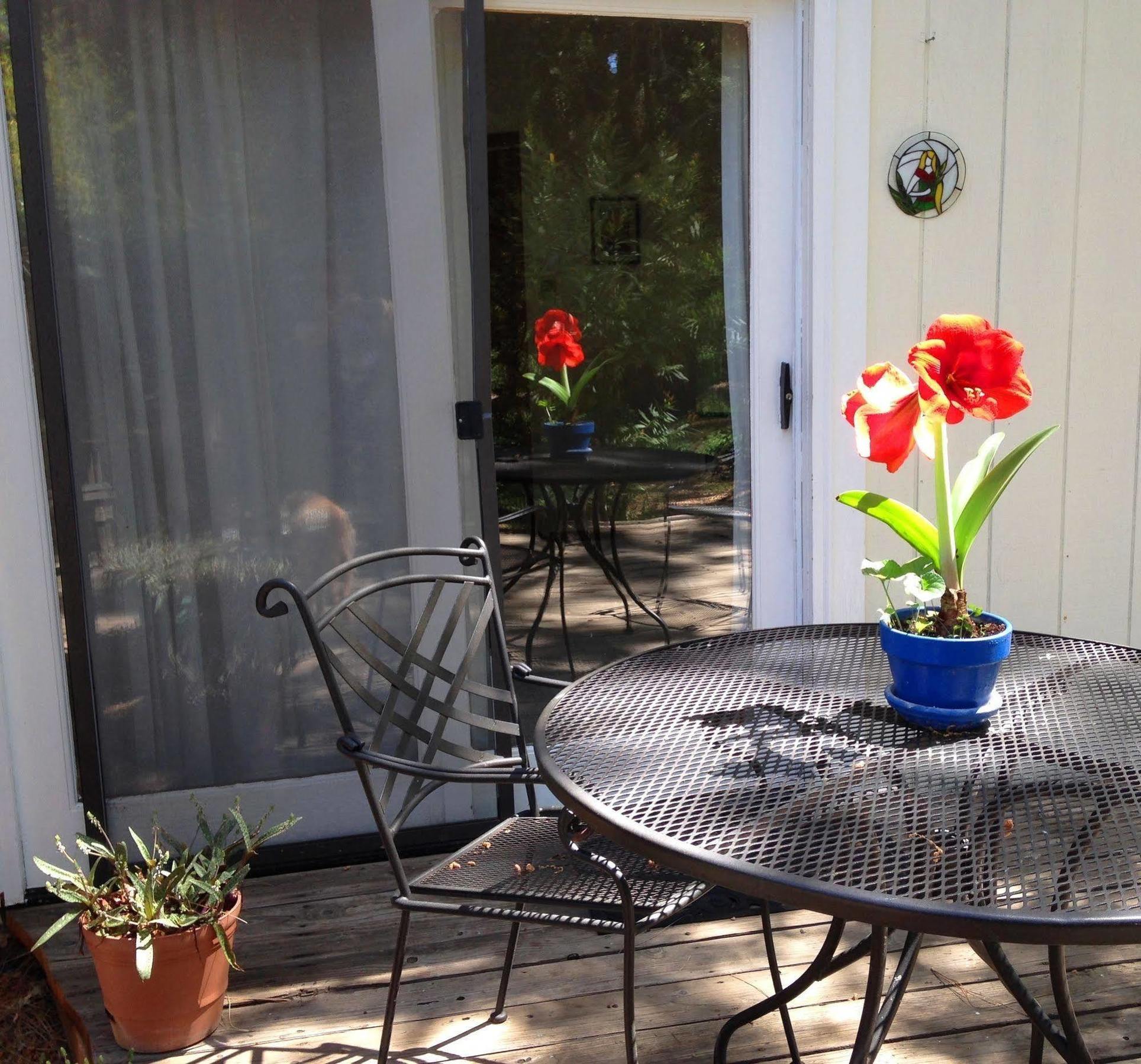 Backyard Garden Oasis Bed and Breakfast Middletown Buitenkant foto