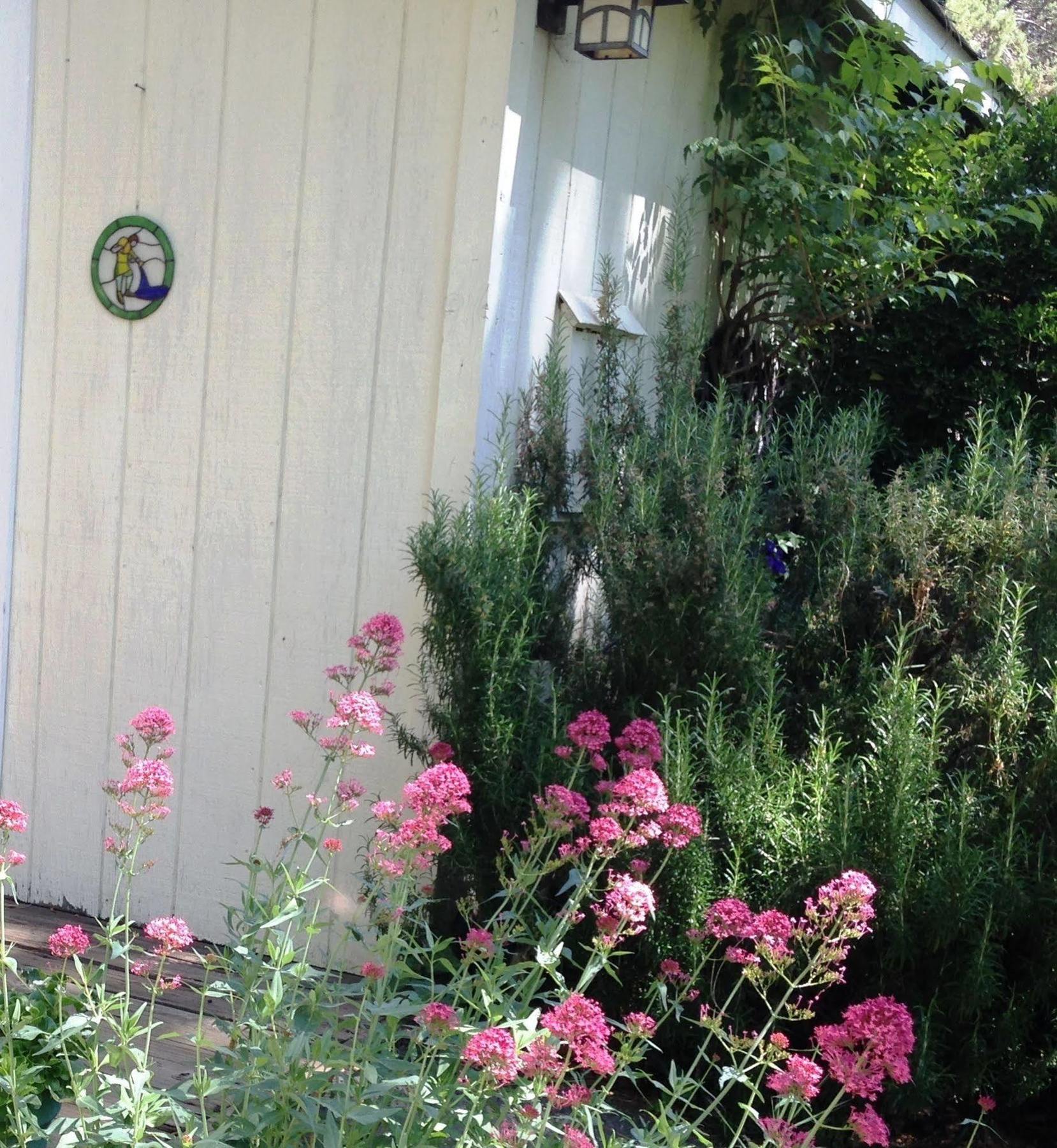 Backyard Garden Oasis Bed and Breakfast Middletown Buitenkant foto