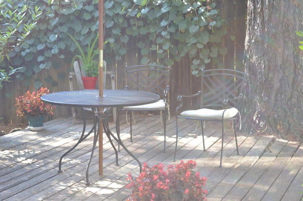 Backyard Garden Oasis Bed and Breakfast Middletown Buitenkant foto